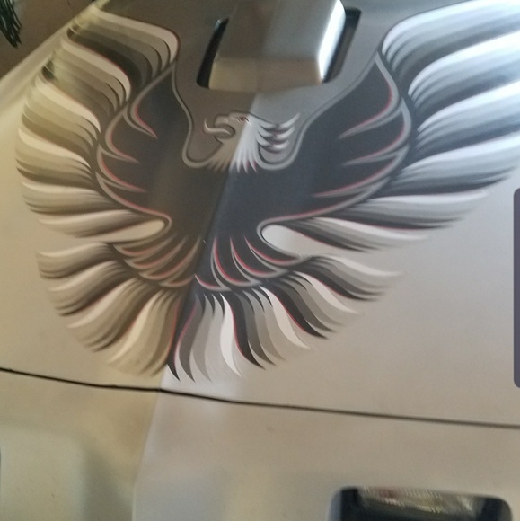 Meet your Posher, Mary - Picture 1 of 1